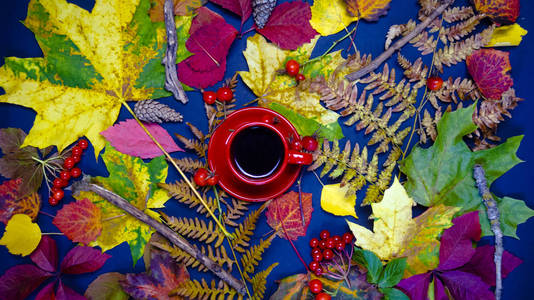 一杯被秋叶包围的热茶。秋天的概念