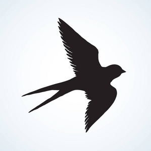 矢量绘图的一系列素描鸟。燕子