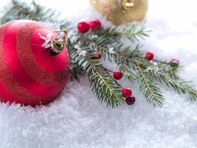 圣诞树分支, 红色浆果和红色球在雪
