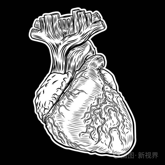 白色和黑色人的心脏在手绘样式插画-正版商用图片103eya-摄图新视界