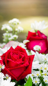 花束中的红玫瑰和白花