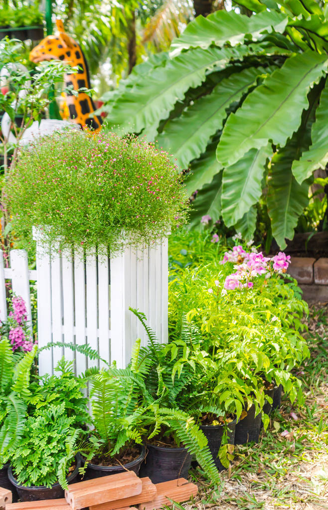 在家里的花园里
