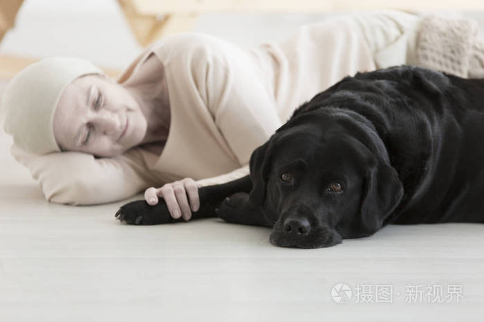 用宠物疗法抗击癌症