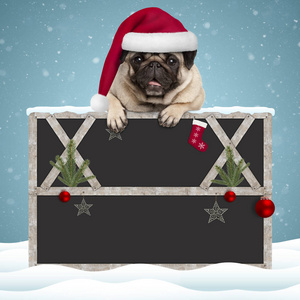 可爱的圣诞哈巴狗小狗用爪子挂在空白黑板上, 用木制框架和装饰