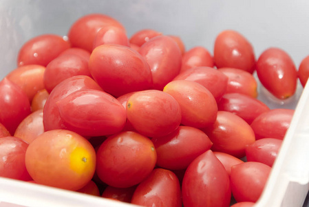红色小成熟樱桃西红柿水果在塑料盒