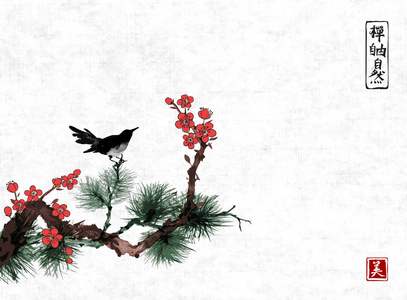 樱花树上的黑鸟