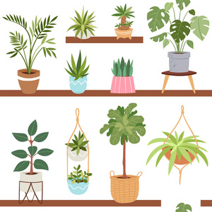 室内媒介植物与自然自制花卉盆栽室内装饰植物天然树花盆插图无缝模式背景