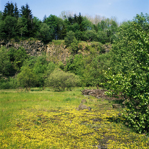 自然保护区兰格罗恩罗恩Lange Rhoen Rhoen附近的奥布里尔斯巴赫下弗兰克尼亚巴伐利亚德国德国玄武岩柱，在通往