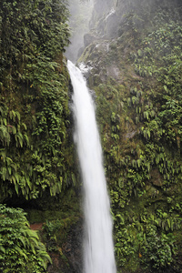 Catarata La Paz34