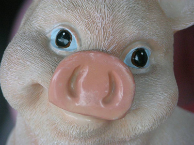 猪塑雕塑肖像猪仔图片