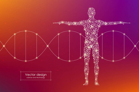 抽象人体与 Dna 分子。医学 科学和技术的概念。矢量图