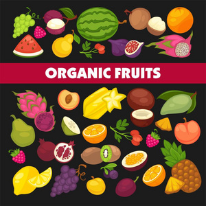 有机水果和浆果收获海报新鲜苹果和芒果或菠萝天然梨葡萄和热带香蕉。 樱桃草莓或无花果石榴瓜和异国鳄梨