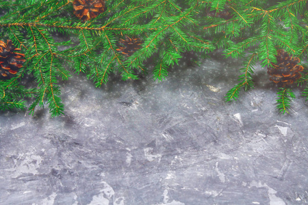 云杉的新年分支与锥体在一个灰色的具体背景之上。新年圣诞节。文本的可用空间