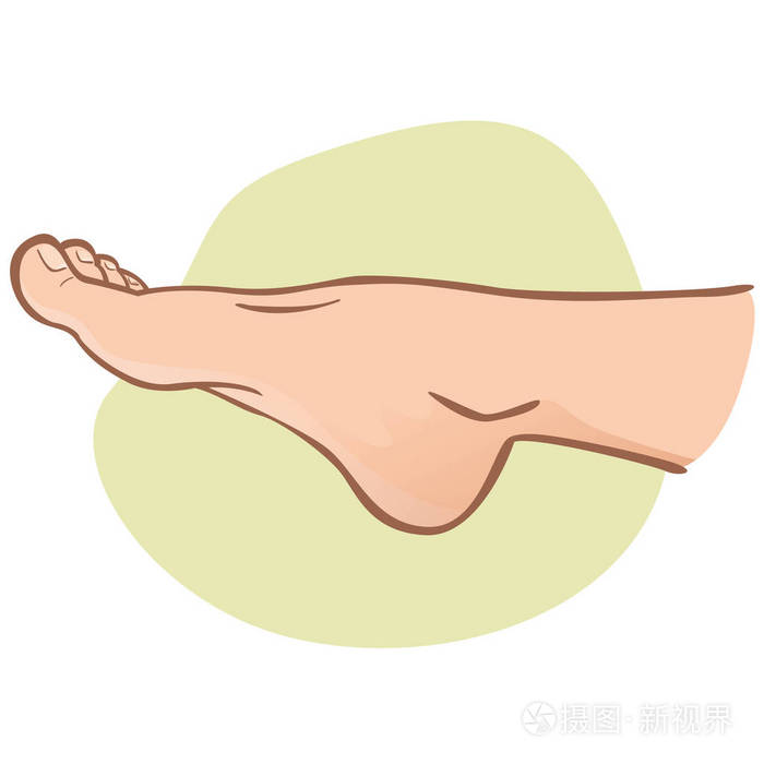 例证人 人脚 高加索 侧面看法.理想的目录 信息和机构指南