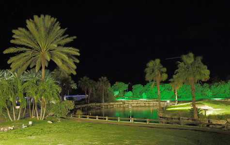 有绿树和湖泊的夜间公园景色令人惊叹。阿鲁巴岛。不错的自然背景。