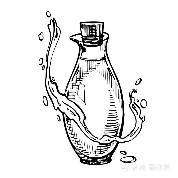 油在白色背景下分离农贸市场菜单设计有机食品海报复古手绘素描矢量