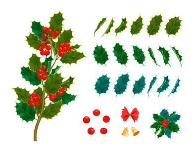 圣诞装饰叶子冬青和树枝红浆果常绿冬花植物矢量插画