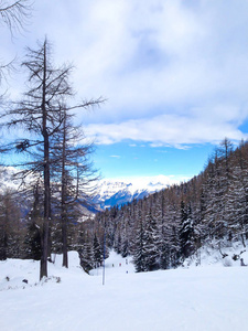 法国夏莫尼冬季度假村的滑雪场