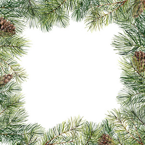 水彩圣诞树花卉框架与松树锥。手绘冷杉枝, 松树锥在白色背景上隔离。假日边界。冬卡