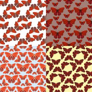 七彩蝴蝶与抽象装饰无缝图案背景苍蝇现在剪影和秀丽自然春天昆虫装饰矢量例证