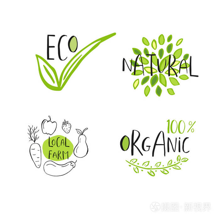 矢量生态生物绿色标志或标志。 素食健康食品徽章标签，用于咖啡馆餐厅产品包装。 手绘叶子，树枝，植物元素，刻字。 有机设计模板。