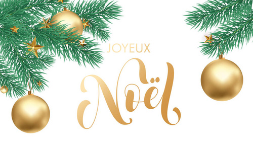 Joyeux 诺尔法国圣诞假期金黄手绘的书法文本问候和金星或球在杉木树分支在白雪为卡片设计。矢量圣诞金色刻字字体