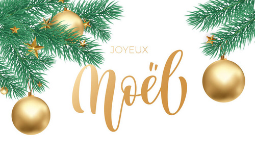 Joyeux 诺尔法国圣诞金黄手画的书法和圣诞树星星饰品为节日贺卡白雪背景模板。矢量新年装饰金色刻字