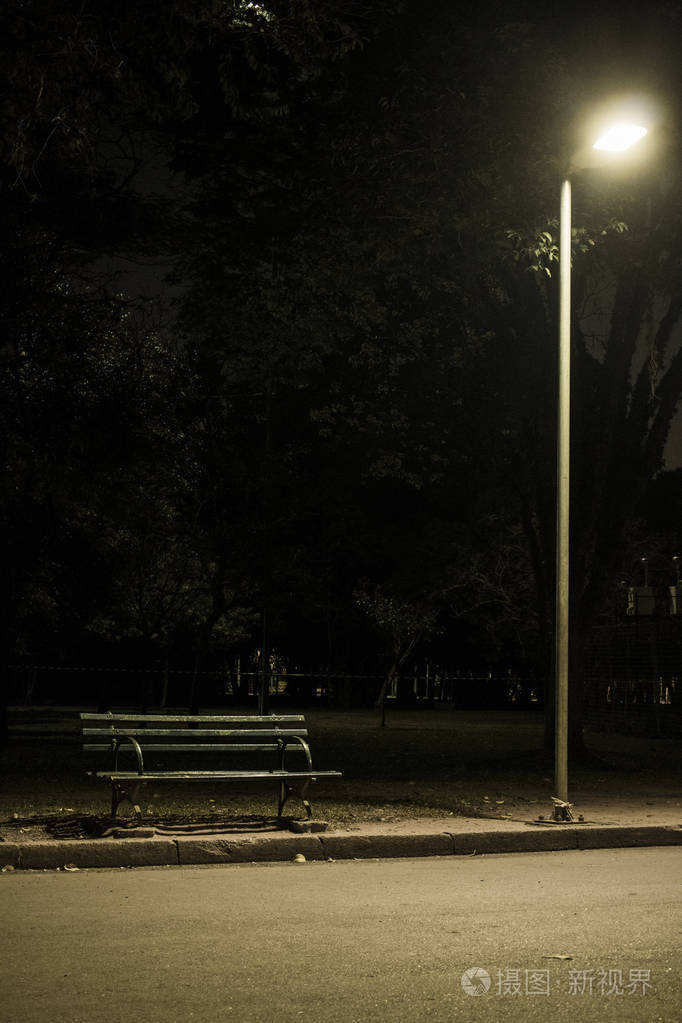 在晚上在公园的长凳