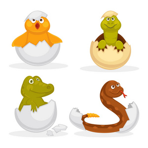 婴儿动物孵化鸡蛋或卡通宠物孵化。 矢量平面孤立有趣的玩具图标拨浪鼓蛇鳄鱼婴儿小鸡或鸭鸟。 儿童动物角色集