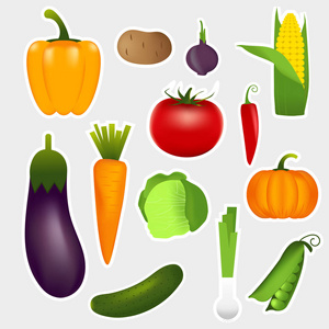 健康蔬菜如胡萝卜洋葱番茄胡椒茄子黄瓜卷心菜南瓜西葫芦等。 饮食生态食物质量矢量图