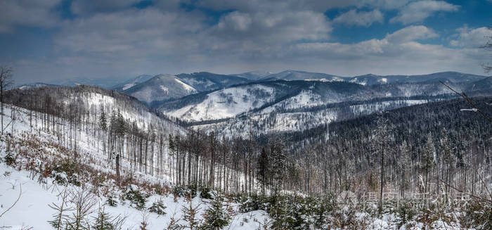 在山的冬季风景全景图