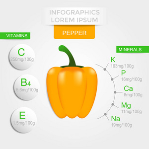 健康蔬菜信息图表与胡椒维生素和矿物质。 关于素食和营养概念的饮食生态食品效益的质量矢量插图。