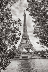巴黎塞纳河埃菲尔铁塔景观, 法国巴黎。黑色和白色