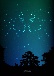 星座星座与森林风景剪影在美丽的星空与星系和空间后面。双子星座星座在深波斯菊背景。卡设计