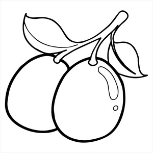白色背景卡通枇杷矢量插图插画