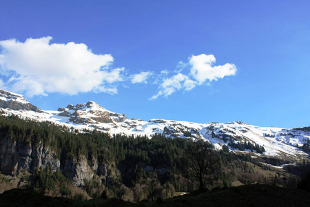 春天在瑞士的阿尔卑斯山田野