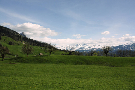 春天在瑞士的阿尔卑斯山田野