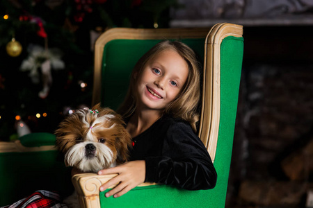 年轻可爱的微笑女孩和两只小狗石祖在椅子上。 新年和圣诞节快乐。
