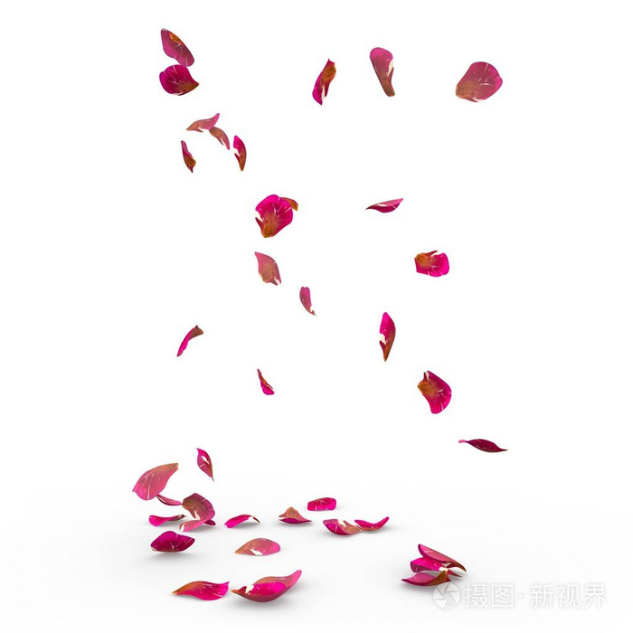 玫瑰花瓣掉在地上