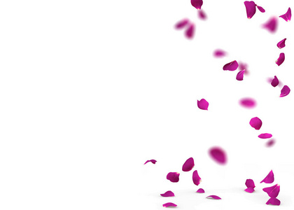 紫色玫瑰花瓣落在地板上