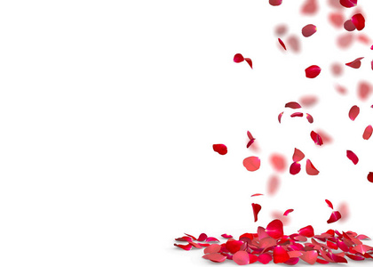 玫瑰花瓣掉在地上照片