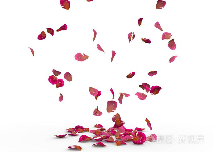 玫瑰花瓣掉在地上