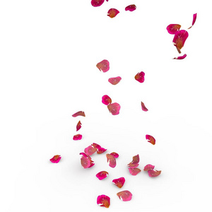 玫瑰花瓣掉在地上照片