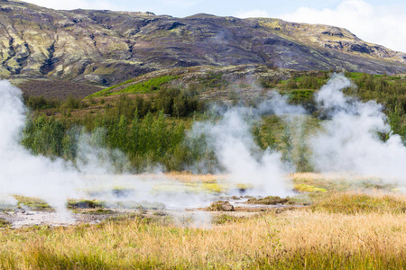 Haukadalur 泉谷的秋季景观