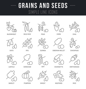 设置谷物和种子的矢量线图标