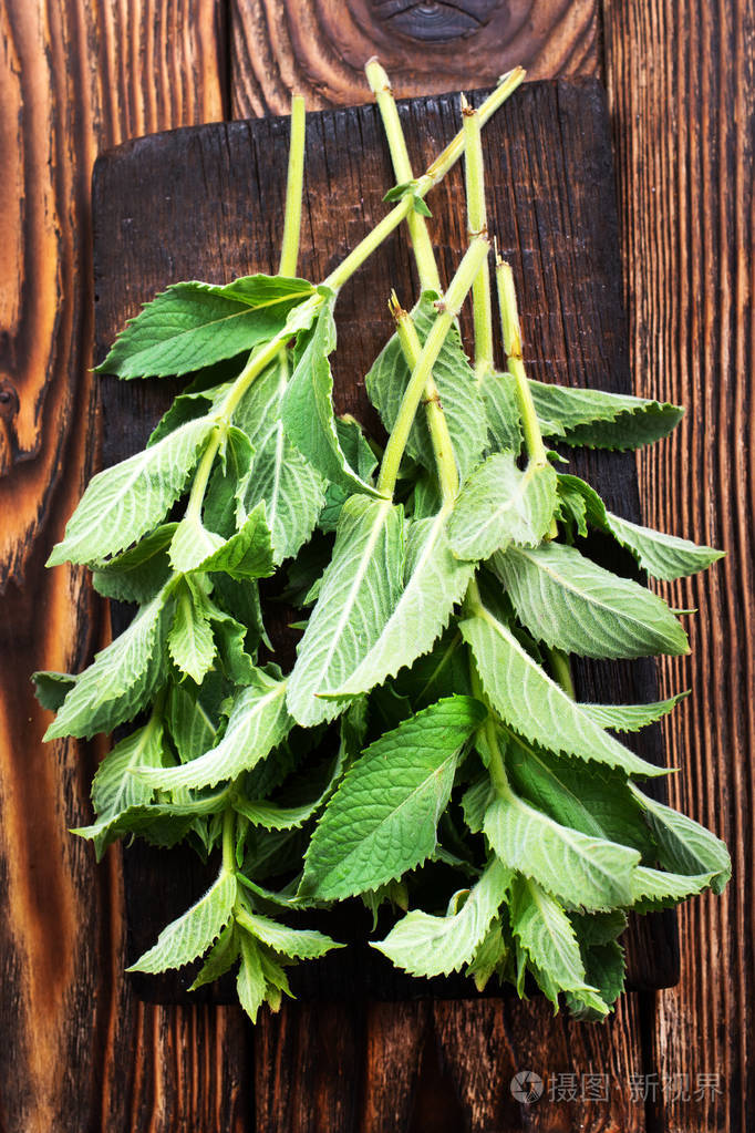 新鲜薄荷叶