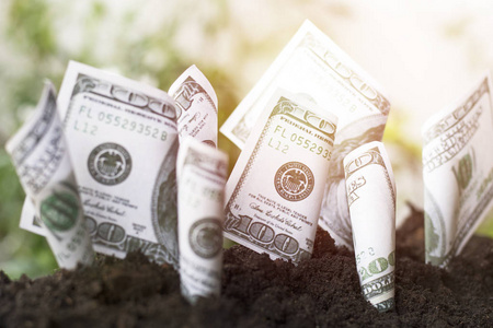 美元票据增长与土壤种植，货币储蓄和投资理念，投资商业和成功融资，资本，银行和经济