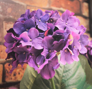 一束美丽的人造紫绣球花