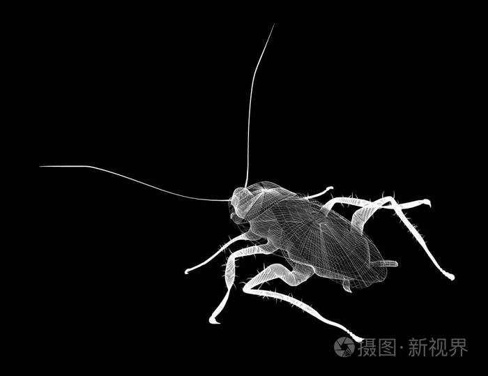 暂无图片作者podsolnukh新媒体授权标准授权扩展授权如何选择jpg大