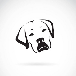 拉布拉多犬图片向量的白色背景,pe 狗头 (拉布拉多犬)照片